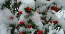 Прогноз погоды в Днепре на 24 декабря - рис. 7