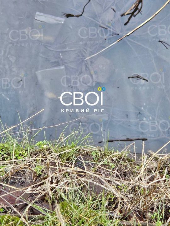 На Дніпропетровщині перехожий виявив у водоймі гранати - рис. 1