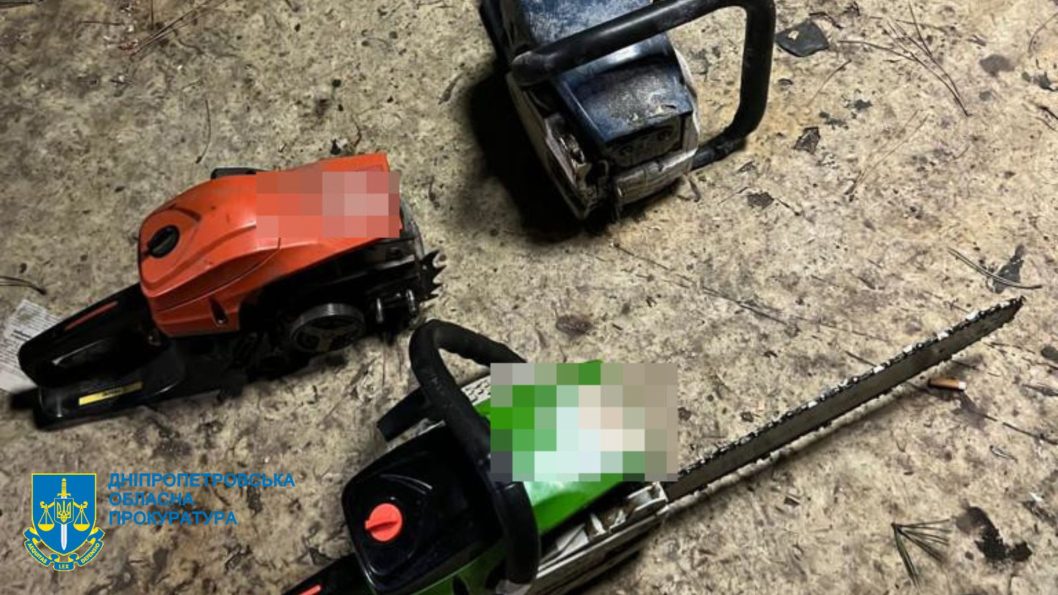 На Днепропетровщине задержаны мужчины, организовавшие незаконную вырубку деревьев - рис. 2