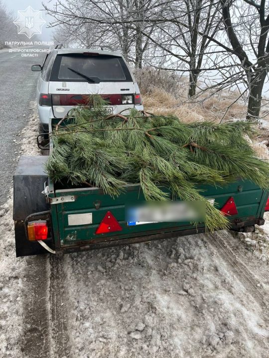 В Днепропетровской области задержали водителя, который перевозил незаконно спиленные елки - рис. 1