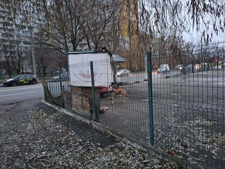 У Дніпрі на покинутій стоянці невідомі залишили прикутого на цеп собаку - рис. 3