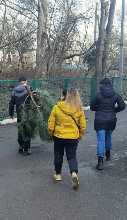 У Дніпрі розпочали продаж ялинок від лісгоспів області - рис. 3