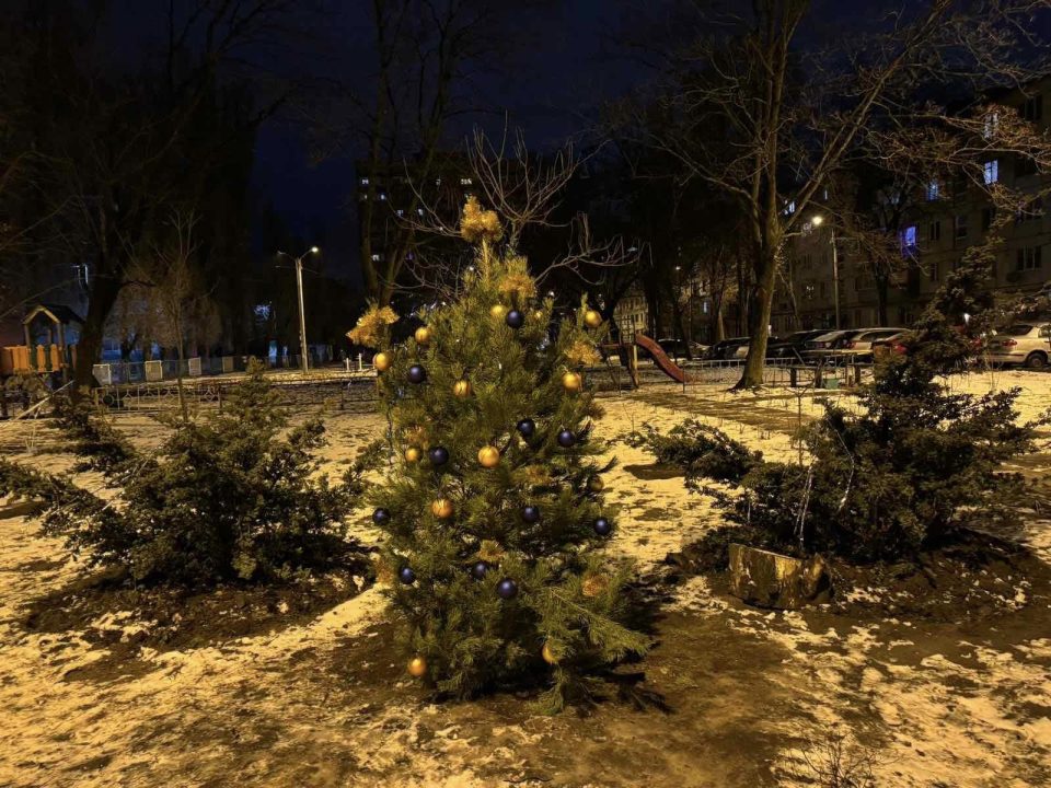 У Дніпрі з'явилися «народні» новорічні ялинки