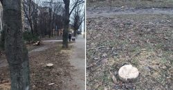 У Дніпрі продовжують масово спилювати дерева