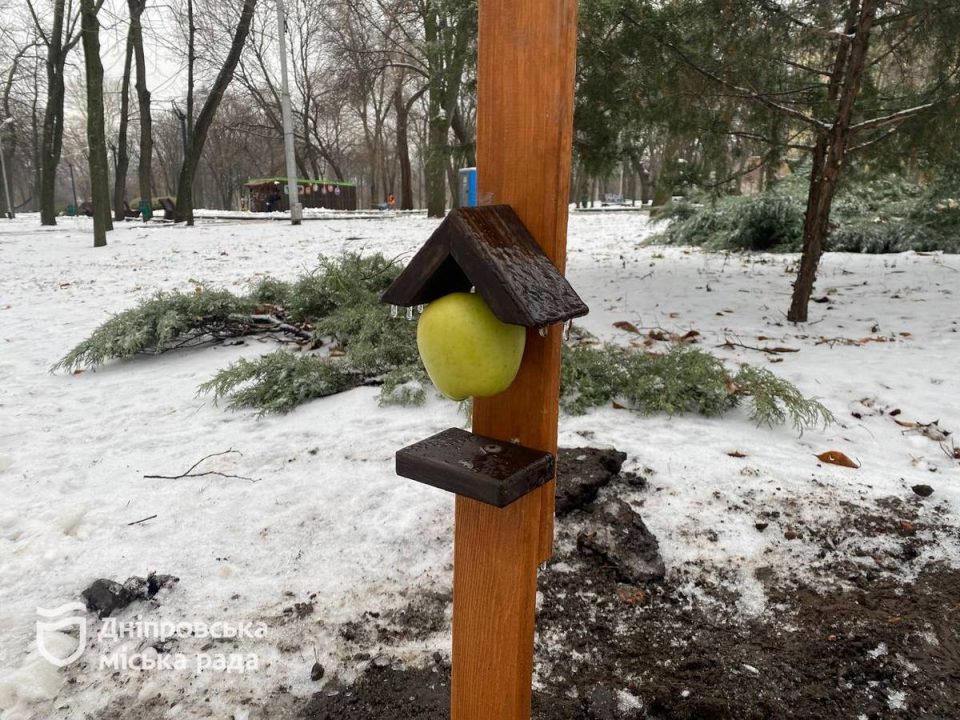 У Дніпрі в парку Шевченка встановили годівниці для птахів та білок