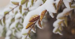 Мокрый снег и дождь: погода в Днепре на 17 декабря - рис. 1