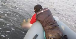 В Днепре спасатели достали из реки тело - рис. 14