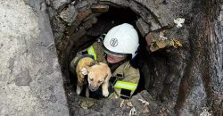 На Днепропетровщине спасатели достали трех щенков из люка - рис. 9