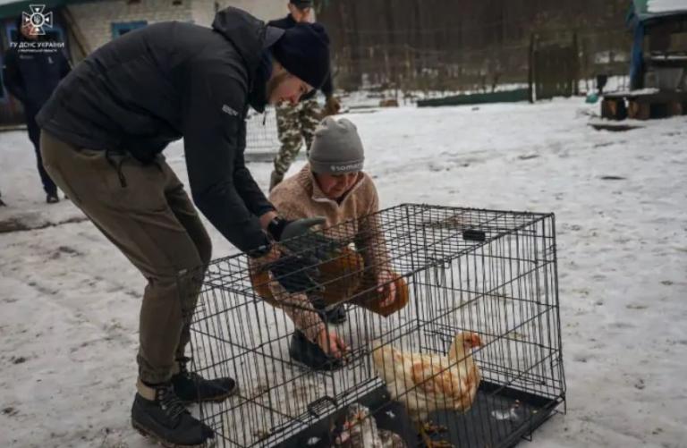 У притулок Дніпра привезли п'ятьох котів, які мешкали на безлюдному острові Полтавщини - рис. 1