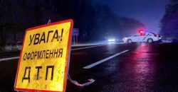 Микроавтобус сбил пешехода: подробности смертельного ДТП в пригороде Днепра - рис. 11
