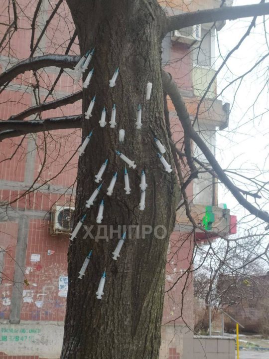У кожного своя ялинка: у Дніпрі невідомі "прикрасили" дерево десятком шприців - рис. 1