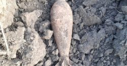 В Днепре возле кладбища нашли неразорванный снаряд времен Второй мировой - рис. 2
