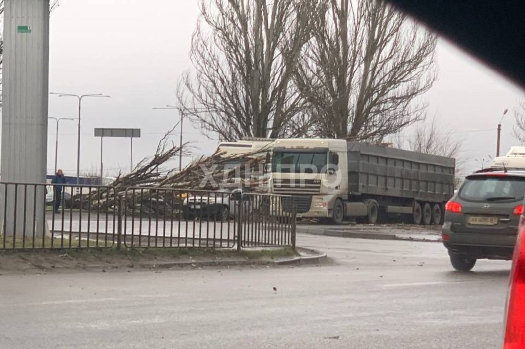В Днепре на Донецком шоссе из-за шквального ветра дерево упало на авто: движение затруднено - рис. 1