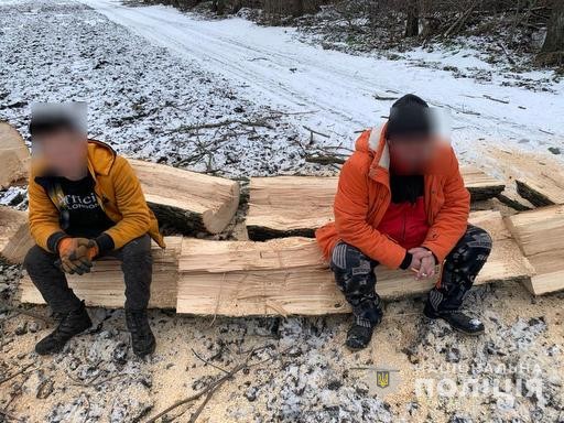 На Дніпропетровщині затримали групу чоловіків, які незаконно вирубували дерева