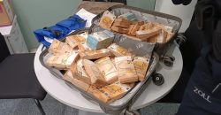 Пенсионера из Украины задержали в аэропорту Мюнхена с 445 тысячами евро - рис. 7