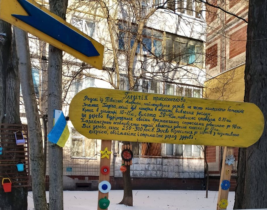 У Дніпрі з'явилось дерево для обіймів