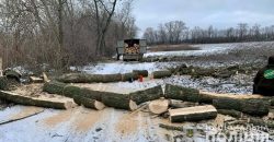 На Дніпропетровщині затримали групу чоловіків, які незаконно вирубували дерева