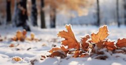 Прогноз погоды в Днепре на 15 января - рис. 1