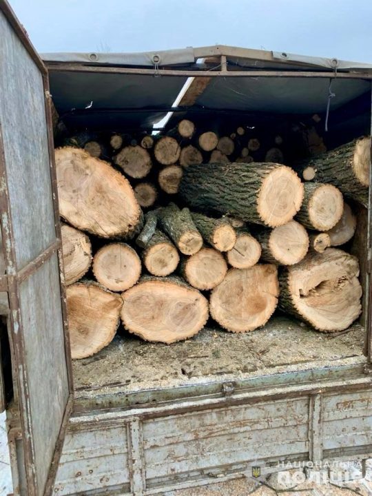 На Дніпропетровщині затримали групу чоловіків, які незаконно вирубували дерева