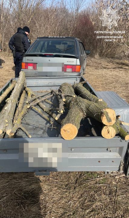 На Дніпропетровщині піймали чоловіків, які незаконно зрубували дерева