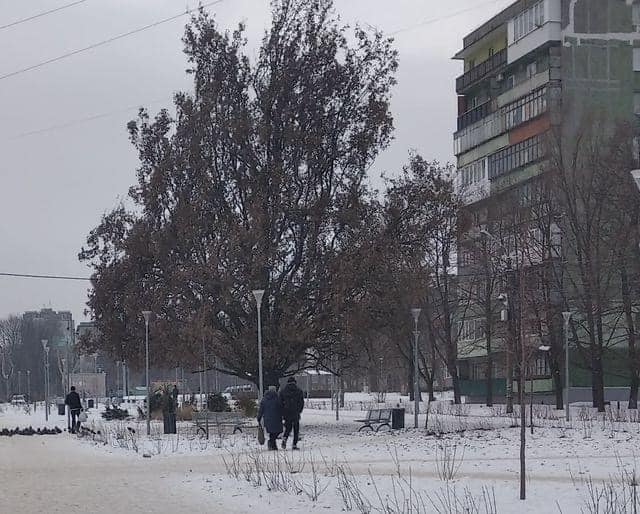 У Дніпрі відремонтують лавки та урни в парку
