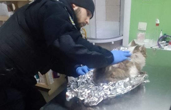 В Днепре патрульные спасли травмированного кота - рис. 1
