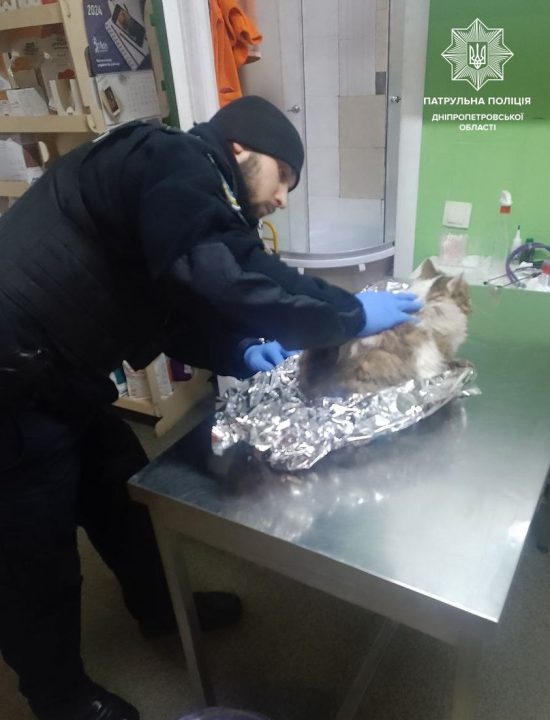 У Дніпрі патрульні врятували травмованого кота