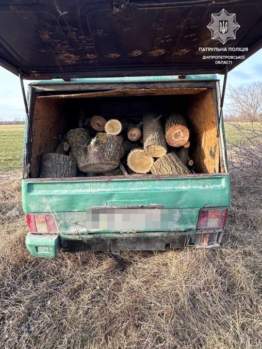 На Дніпропетровщині піймали чоловіків, які незаконно зрубували дерева