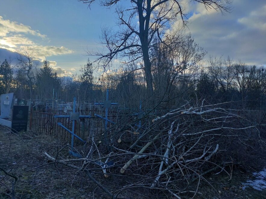 У Дніпрі на кладовищі спиляли десятки дерев