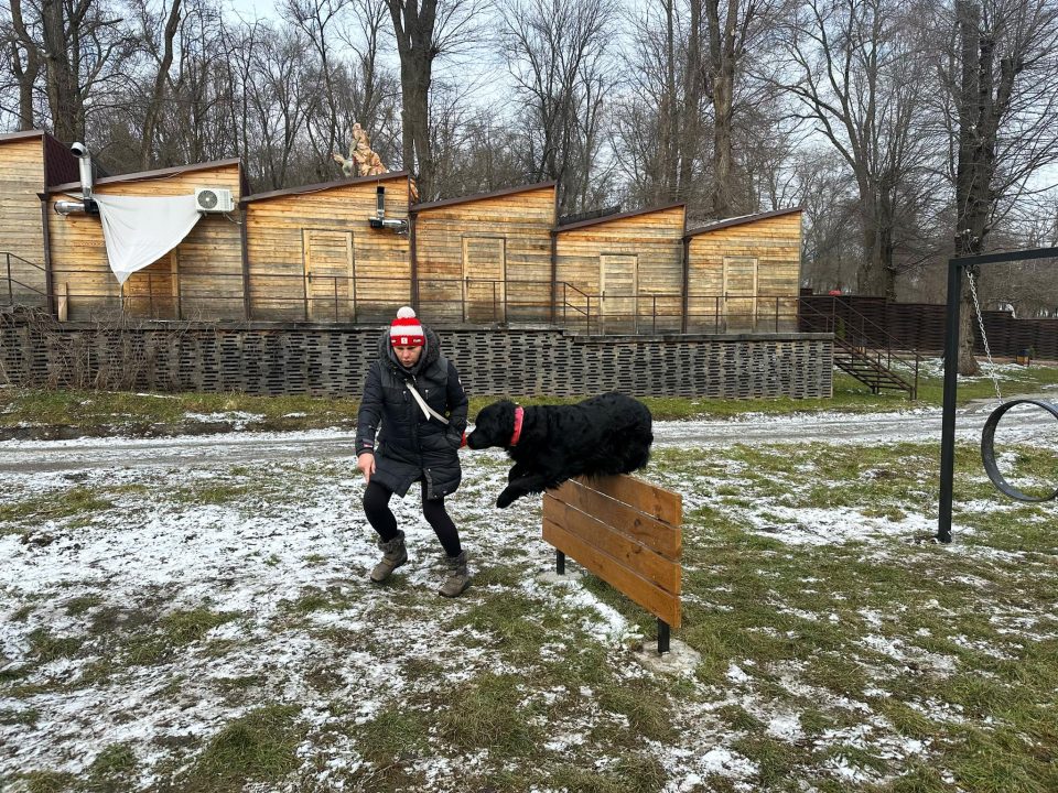 В парку Дніпра тепер можна потренувати собак