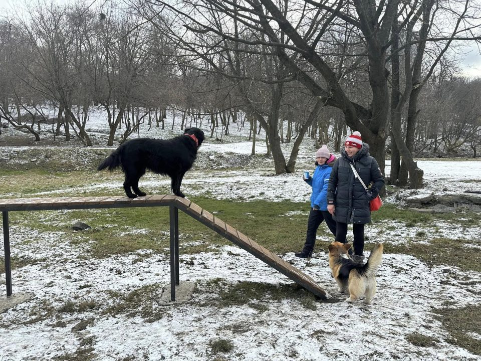 В парку Дніпра тепер можна потренувати собак