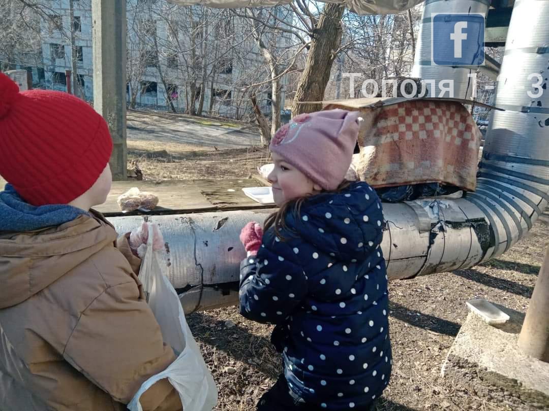 У Дніпрі діти провели акцію де годували безпритульних тварин