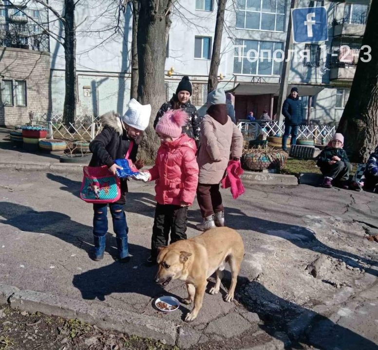 У Дніпрі діти провели акцію де годували безпритульних тварин