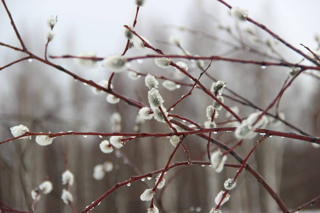 Опадів не очікується: погода у Дніпрі 27 лютого