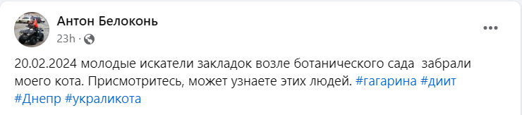Я назову его Майк: в Днепре юноши посреди улицы украли чужого кота - рис. 1