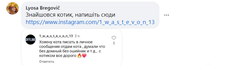 Я назову его Майк: в Днепре юноши посреди улицы украли чужого кота - рис. 2