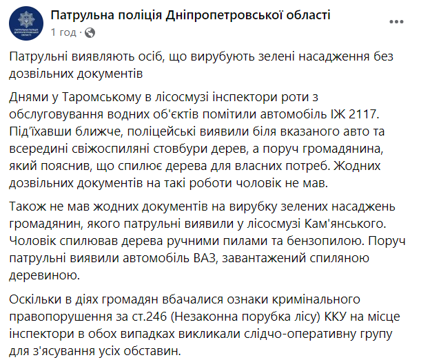 На Дніпропетровщині піймали чоловіків, які незаконно зрубували дерева
