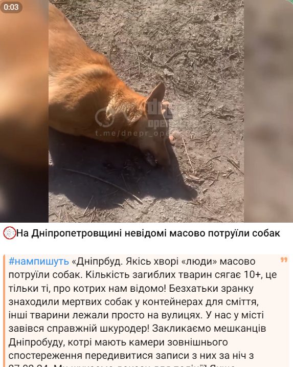 На Дніпропетровщині почастішали випадки отруєння собак