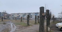 Незаконна вирубка дерев на Дніпропетровщині нанесла збитків екології на 260 тис. грн