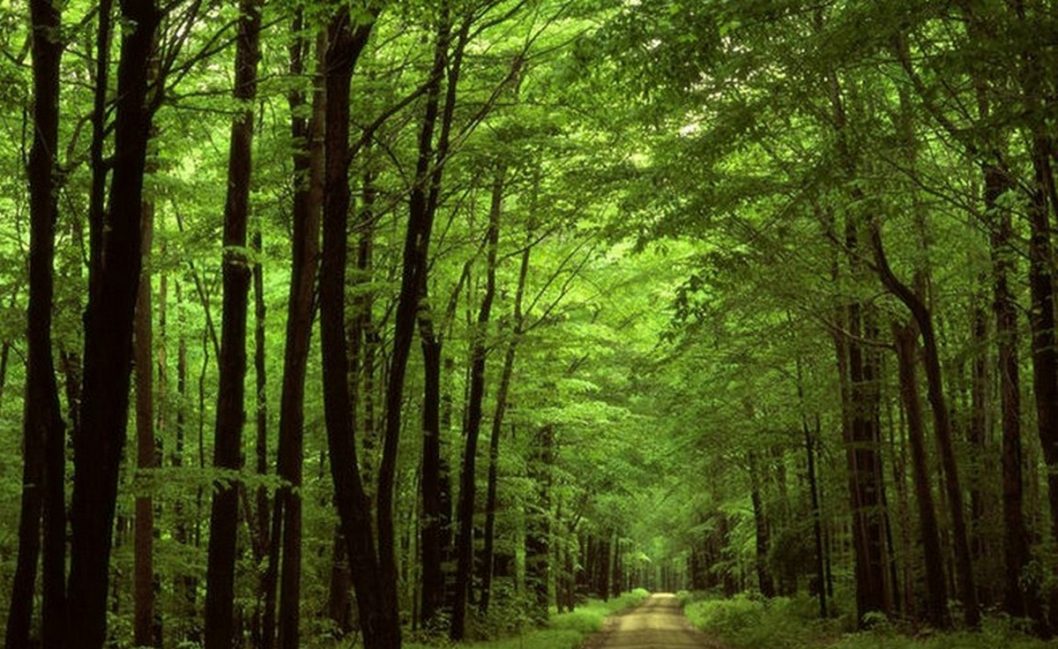 Какой праздник 21 марта: в Украине чтят память святителя Кирилла, традиции и народные приметы - рис. 2