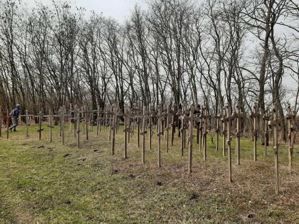 На Дніпропетровщині виявили ліс з десятків хрестів