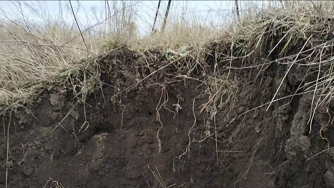 На Дніпропетровщині варварськи розкопують давній курган