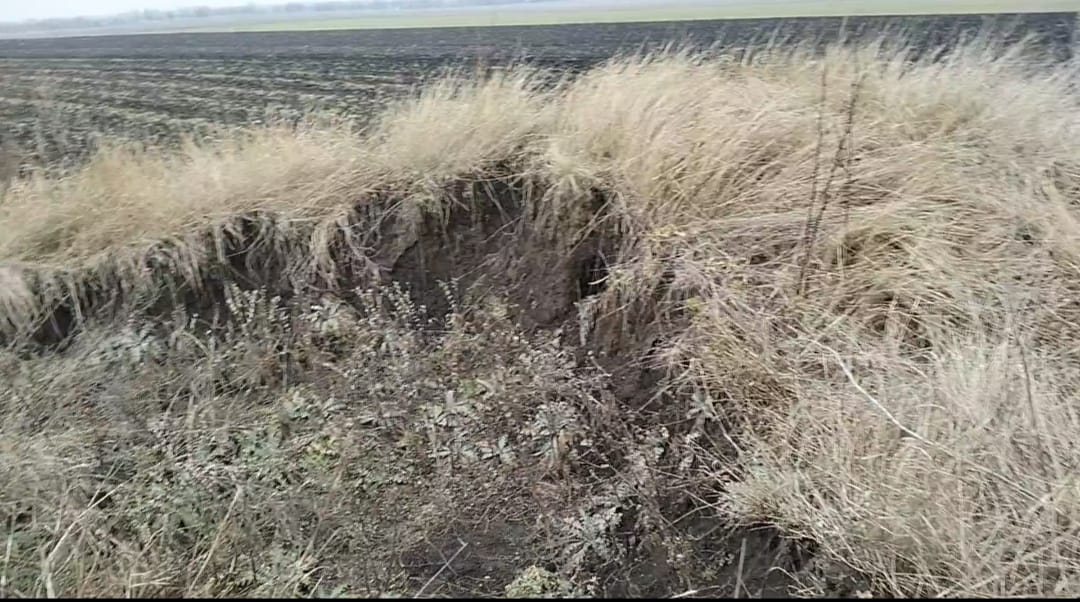 На Дніпропетровщині варварськи розкопують давній курган