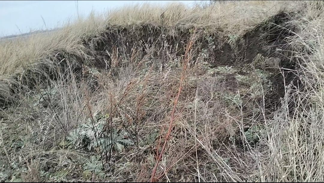 На Дніпропетровщині варварськи розкопують давній курган