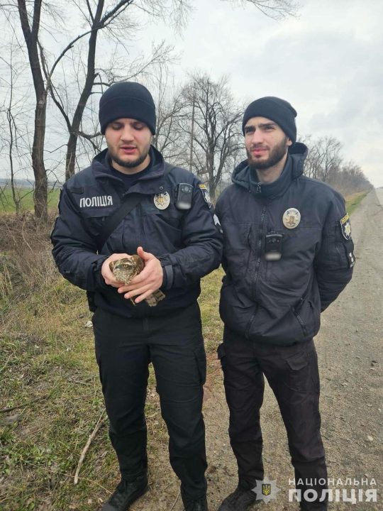 На Дніпропетровщині поліцейські врятували хижого птаха