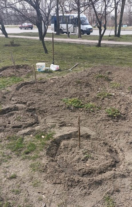 У Дніпрі місцевий мешканець за власний кошт доглядає за зеленими зонами