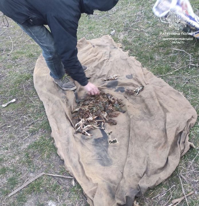 На Дніпропетровщині браконьєр наловив раків на 162 тис. грн