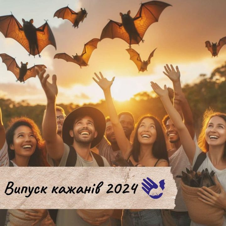 У Дніпрі в дику природу випустять тисячі кажанів
