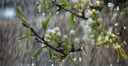 Тепло, але дощитиме: прогноз погоди у Дніпрі на 18 березня - рис. 3