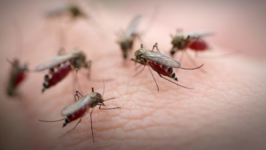 Какой праздник 21 марта: в Украине чтят память святителя Кирилла, традиции и народные приметы - рис. 3